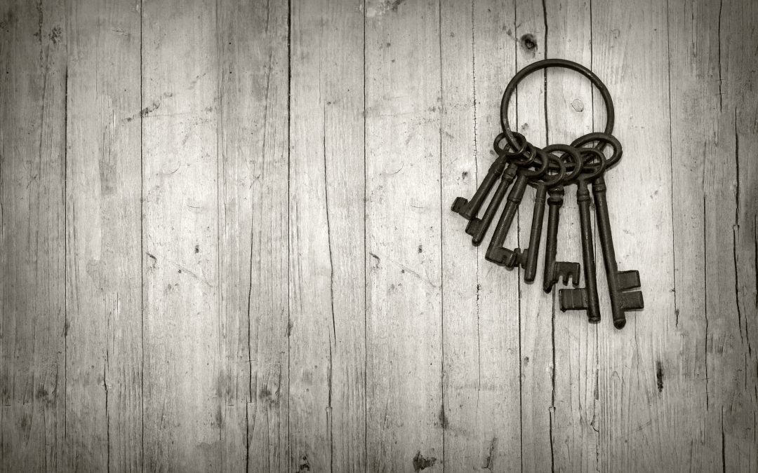 Find Fast Solutions for Lost or Broken Replacement Garage Remotes Wyong NSW Locals Trust